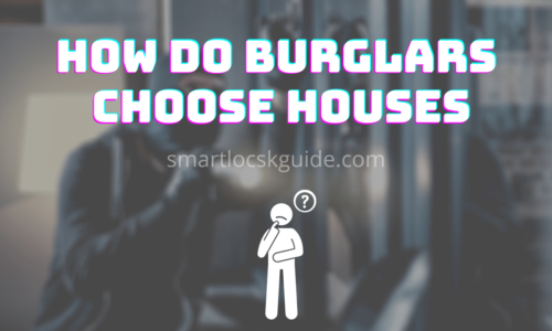 How Do Burglars Choose Houses